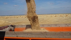 убираем зерно с полей фото