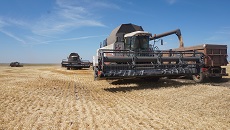 сельскохозяйственная техника убирает урожай зерна фото